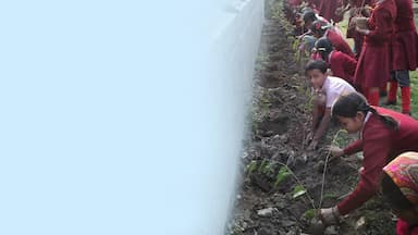 Corporate Social Responsibility